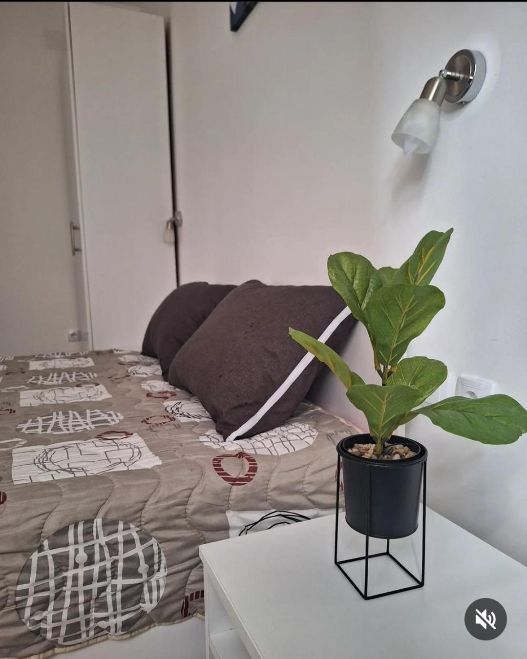 Apartmani Koki Kladovo Bagian luar foto